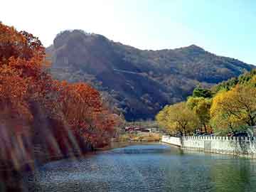 新澳天天开奖资料大全旅游团，有关拳皇的小说